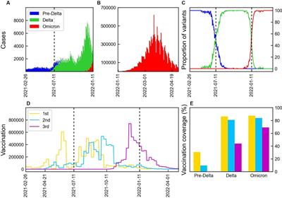 Analysis of the impact of COVID-19 variants and vaccination on the time-varying reproduction number: statistical methods